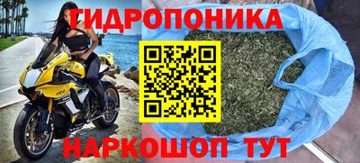 бошки Бийск