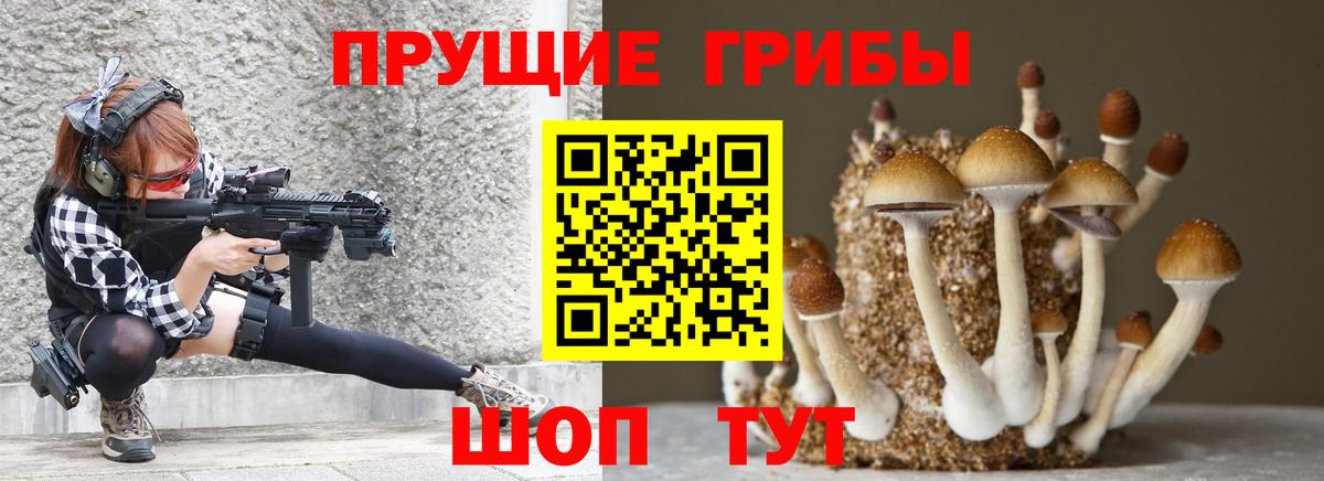 Галлюциногенные грибы Psilocybine cubensis  Вход с VPN  купить  цена  Клинцы 