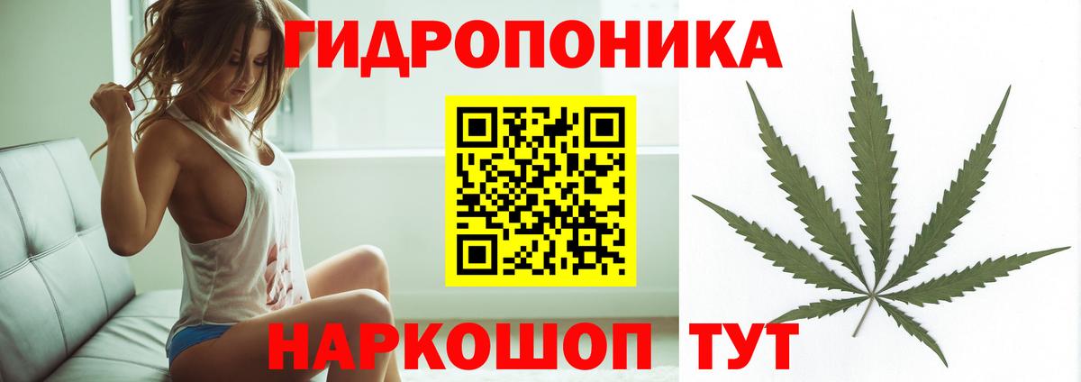 Бошки Шишки гибрид Клинцы